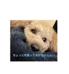 アールスタンプ੯•`໒（個別スタンプ：11）
