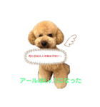 アールスタンプ੯•`໒（個別スタンプ：13）