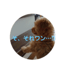アールスタンプ੯•`໒（個別スタンプ：14）