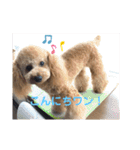アールスタンプ੯•`໒（個別スタンプ：15）