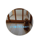 アールスタンプ੯•`໒（個別スタンプ：20）