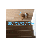 アールスタンプ੯•`໒（個別スタンプ：21）