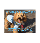 アールスタンプ੯•`໒（個別スタンプ：22）
