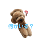 アールスタンプ੯•`໒（個別スタンプ：25）