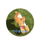 アールスタンプ੯•`໒（個別スタンプ：31）