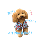 アールスタンプ੯•`໒（個別スタンプ：32）