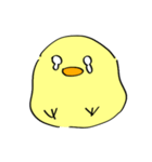 ピヨちゃんすたんぷ（個別スタンプ：2）