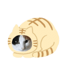 プィ家族（個別スタンプ：1）