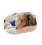 ショコラ☆（個別スタンプ：5）