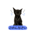 ラテ＆モカ（個別スタンプ：8）