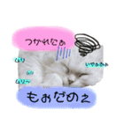 ラテ＆モカ（個別スタンプ：9）