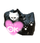 ラテ＆モカ（個別スタンプ：15）