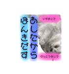 ラテ＆モカ（個別スタンプ：18）