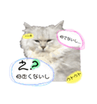 ラテ＆モカ（個別スタンプ：20）