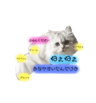 ラテ＆モカ（個別スタンプ：23）