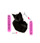 ラテ＆モカ（個別スタンプ：24）