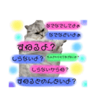 ラテ＆モカ（個別スタンプ：29）