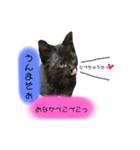 ラテ＆モカ（個別スタンプ：30）