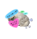 ラテ＆モカ（個別スタンプ：31）