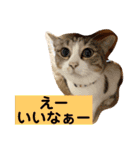 はなとこはく4（個別スタンプ：2）