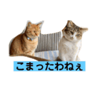 はなとこはく4（個別スタンプ：6）