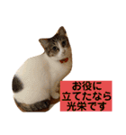 はなとこはく4（個別スタンプ：7）