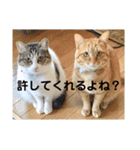 はなとこはく4（個別スタンプ：12）