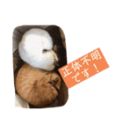 はなとこはく4（個別スタンプ：18）