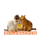 はなとこはく4（個別スタンプ：20）