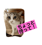 はなとこはく4（個別スタンプ：21）