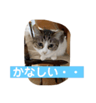 はなとこはく4（個別スタンプ：22）