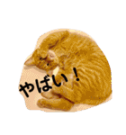 はなとこはく4（個別スタンプ：23）