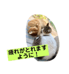 はなとこはく4（個別スタンプ：25）