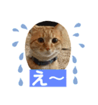 はなとこはく4（個別スタンプ：29）