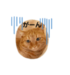 はなとこはく4（個別スタンプ：30）