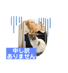 はなとこはく4（個別スタンプ：32）