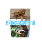 はなとこはく4（個別スタンプ：37）