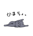 使えそうで使えない猫たち（個別スタンプ：1）