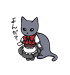使えそうで使えない猫たち（個別スタンプ：19）