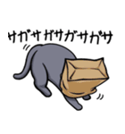 使えそうで使えない猫たち（個別スタンプ：20）