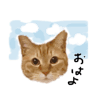 結構つかいやすい（個別スタンプ：1）
