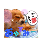 毎日おいもスタンプ1（個別スタンプ：4）