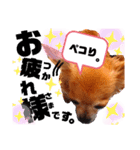 毎日おいもスタンプ1（個別スタンプ：8）