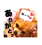 毎日おいもスタンプ1（個別スタンプ：9）