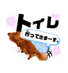 毎日おいもスタンプ1（個別スタンプ：18）