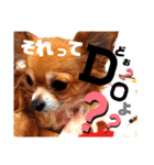毎日おいもスタンプ1（個別スタンプ：31）