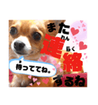 毎日おいもスタンプ1（個別スタンプ：32）