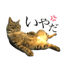 トロ^._.^16（個別スタンプ：4）