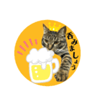 トロ^._.^16（個別スタンプ：5）