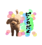 ピンカの日常①（個別スタンプ：2）